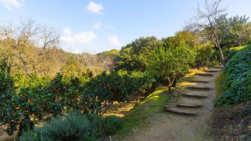 Explore the magical Valley of the Temples of Agrigento